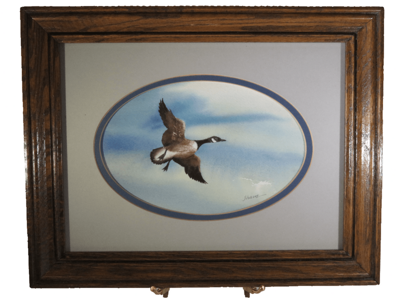 Flying Canadian Goose Original Watercolor by Thomas C Green (Shane) Portsmouth V