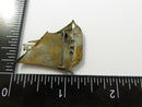 Reverse of Havana sailboat brooch showing C-clasp pin back