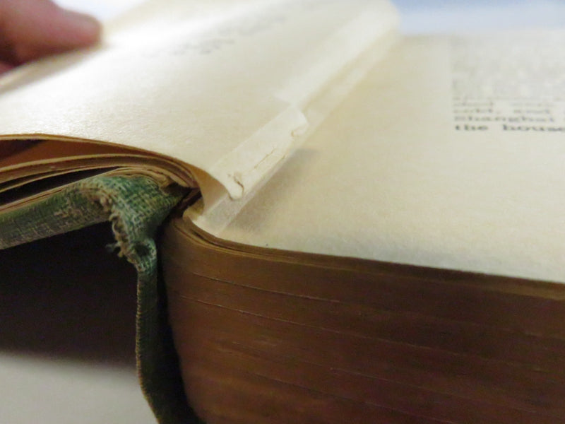 Five Little Peppers and Their Friends Margaret Sidney Heyer Illus Lothrop 1907