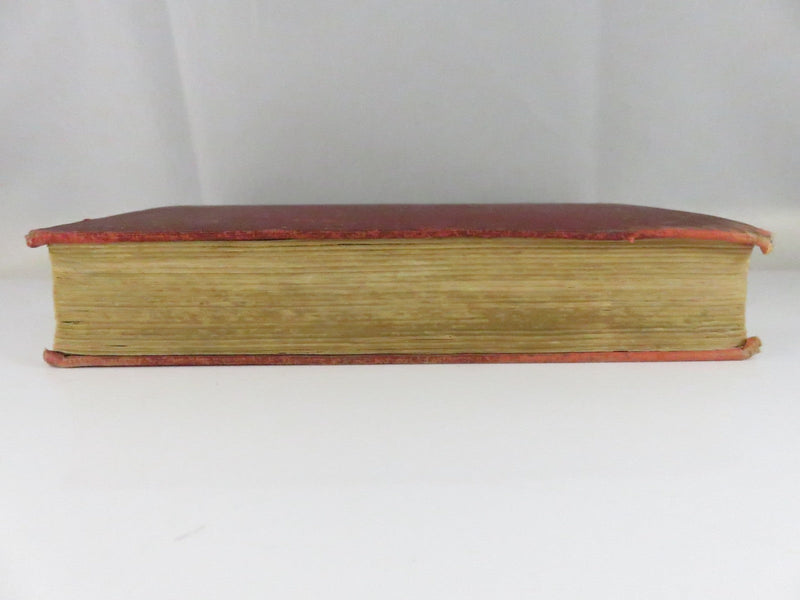 The Octopus A Story of California by Frank Norris 1901 Doubleday First Edition product image for Just Stuff I Sell, clear front view, neutral background, original listing photo, optimized descriptive alt text, centered composition variant 6