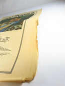 Zoo World The Music Megapaper Aug. 2 1973 No 38 Carpenters, Bee Gees, More product image for Just Stuff I Sell, clear front view, neutral background, original listing photo, optimized descriptive alt text, centered composition variant 2