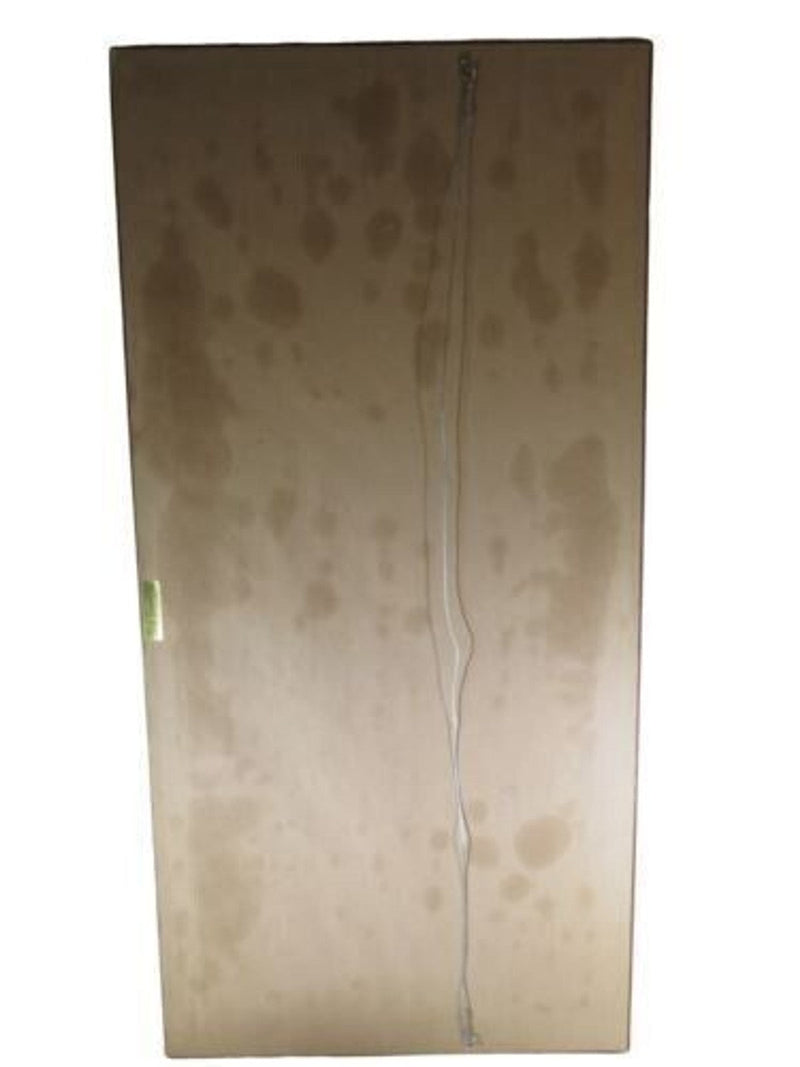 The First Railroad Train on the Mohawk and Hudson Road Chine-colle Photogravure product image for Just Stuff I Sell, clear front view, neutral background, original listing photo, optimized descriptive alt text, centered composition variant 12