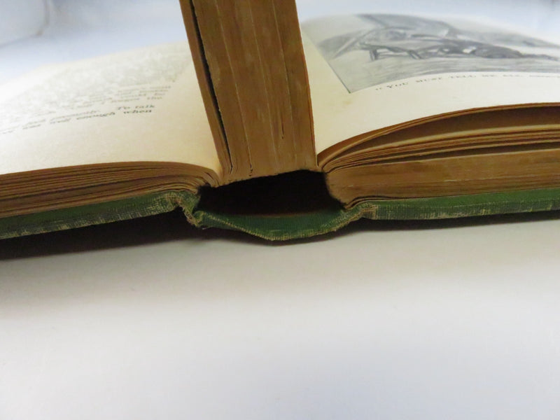 Five Little Peppers and Their Friends Margaret Sidney Heyer Illus Lothrop 1907