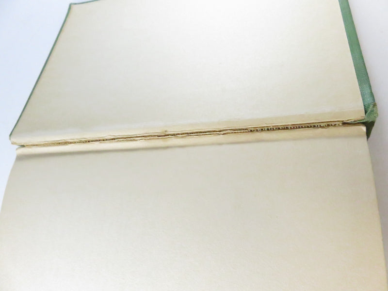 Five Little Peppers and Their Friends Margaret Sidney Heyer Illus Lothrop 1907