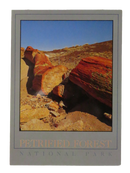 Vintage Postcard – Petrified Forest National Park, Arizona, Fossil Wood Remains — front view