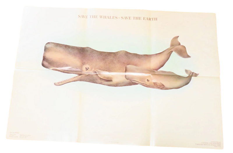 1970's Save The Whales Save the Earth Sperm Whale Hippie Poster 35" x 23.5" Approx