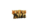 New Hanover High School North Carolina NHHS Pride Lapel Hat Pinback — front view