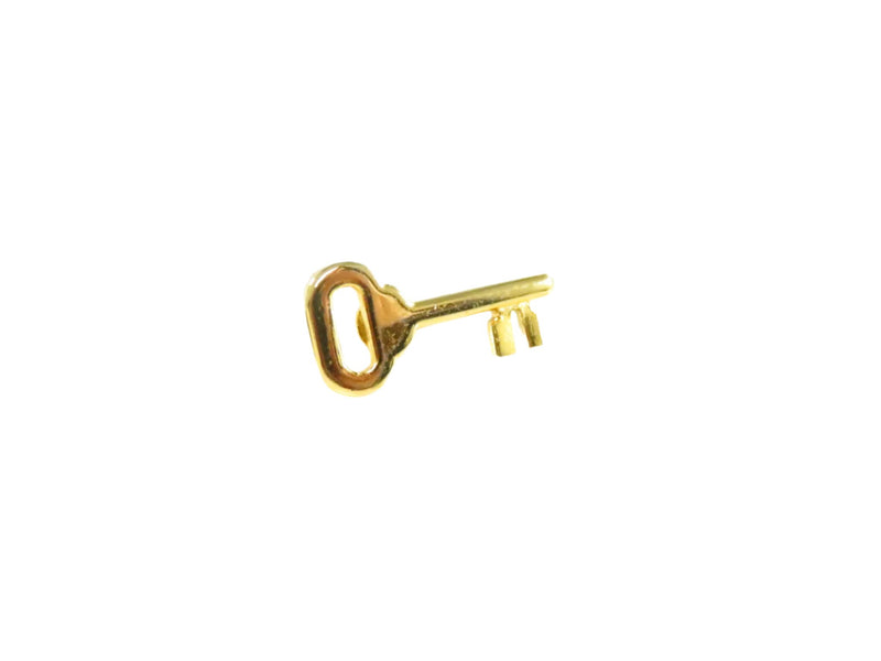 Skeleton Key Gilded Lapel or Hat Pinback 19mmx 9.28mm