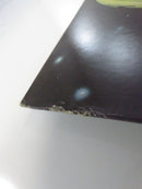 Alexis Self-Titled Alexis MCA Records Pinckneyville Pressing MCA-2260 1977 Vinyl Record Album