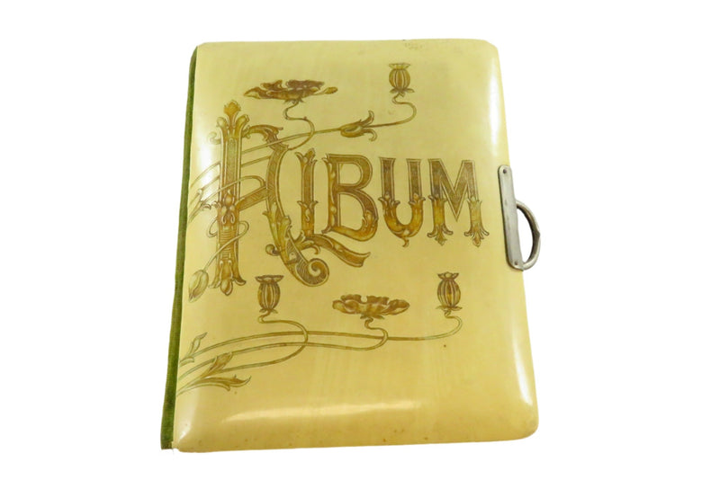 Dilapidated Celluloid Cabinet Card CDV Photo Album for Restoration 8.75x6.75" — front view