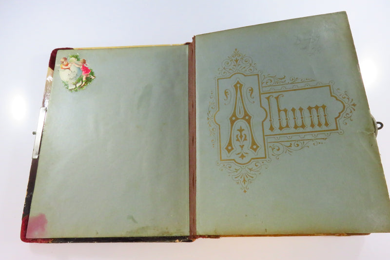 Victorian Celluloid Cabinet Card Photo Album Painted Swirling Vines 8 3/8x6 1/2"