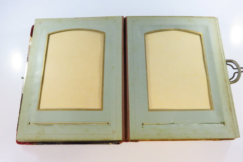 Victorian Celluloid Cabinet Card Photo Album Painted Swirling Vines 8 3/8x6 1/2"