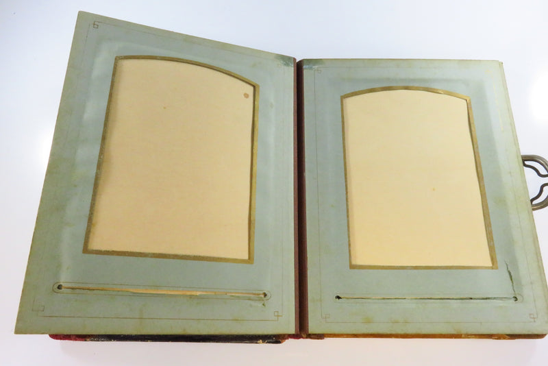 Victorian Celluloid Cabinet Card Photo Album Painted Swirling Vines 8 3/8x6 1/2"