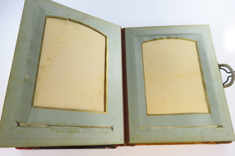 Victorian Celluloid Cabinet Card Photo Album Painted Swirling Vines 8 3/8x6 1/2"