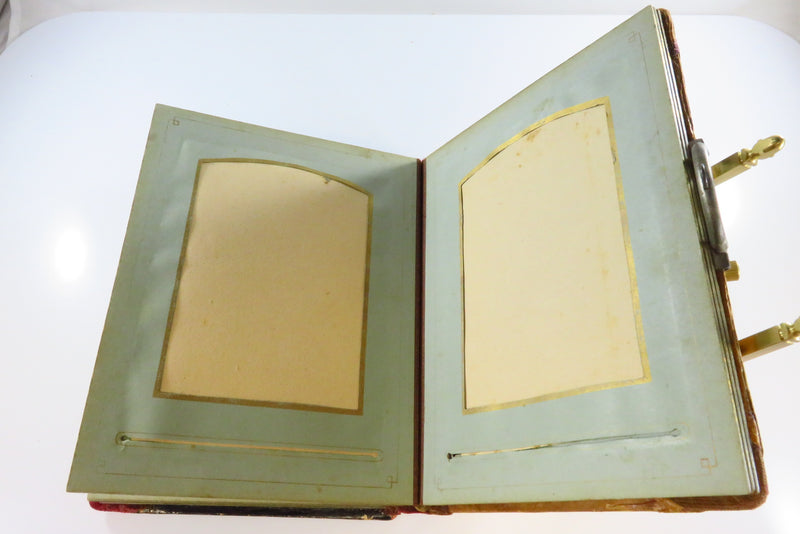 Victorian Celluloid Cabinet Card Photo Album Painted Swirling Vines 8 3/8x6 1/2"