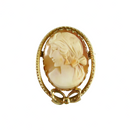 Carved Shell Cameo Brooch Left Facing 1/20 14K Gold Filled Bow Brooch — Jewelry & Watches:Vintage & Antique Jewelry:Costume:V