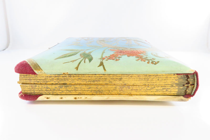 Victorian Celluloid Cabinet Card CDV Photo Album Colorful 10x7 3/4"