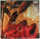 Enya Watermark 1989 New Age Orinoco Flow GHS 24233 Specialty Records DMM Sterling Lyrics Sleeve US Pressing LP