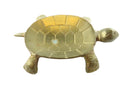 Turtle Form Soap Dish Trinket Turtle Dish Brass Turtle Change Dish Turtle Keys D — front view