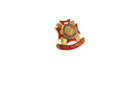No Back VFW (Veterans of Foreign Wars) Life Member Lapel Pin 10K GF LA — 10K — front view