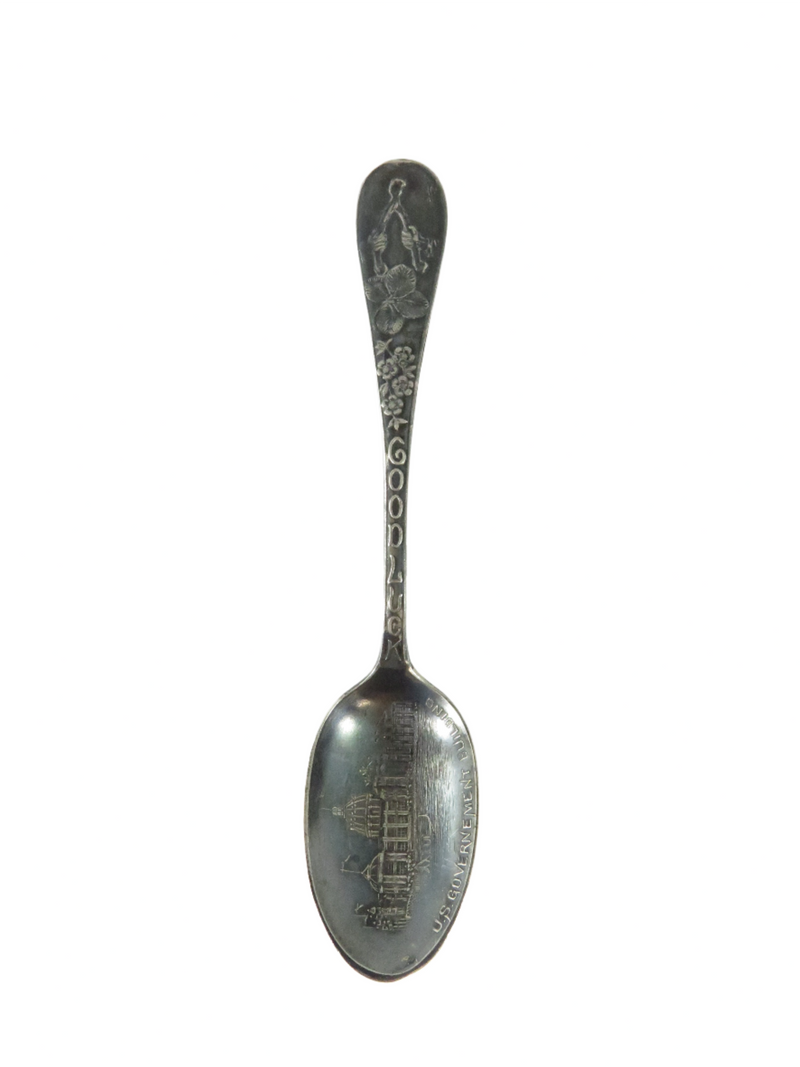 U.S. Capital Building Good Luck Washington DC Souvenir Spoon