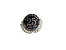 25th Anniversary 1962-1987 Alfred Cosmetology Alumni Association Pin — front view