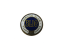 Vintage Bli Co Service Club 25 Years Service Gold Gilt Lapel Pin — Gold, Enamel — front view
