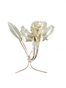 Artisan Sterling Silver Orchid Flower Brooch Pin Taxco Mexico 2 3/4" x 2 1/2" — Jewelry & Watches:Fine Jewelry:Fine Pins & Br