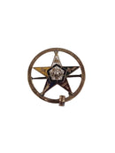 Order of the Eastern Star Brooch 14K Gold Riker Brothers Antique Diamond Enamel Masonic Pin Chapter 112 1922