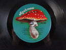 Chilliwack Dreams Dreams Dreams MRS 5006 Santa Maria Pressing Stereo LP 1976 Pop Rock Soft Rock Album