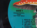 Chilliwack Lights From The Valley MRS-5011 Compton Pressing Stereo LP 1978 Rock Pop Rock Album