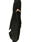 Jeff Hamilton Pro Sport Gm Goodwrench Service Plus Nascar Suede Jacket Dale Earnhardt Size L