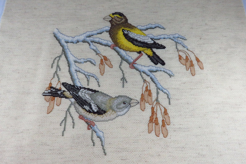 Medium Completed Bird Themed Needlepoint Canvas 14" x 14"