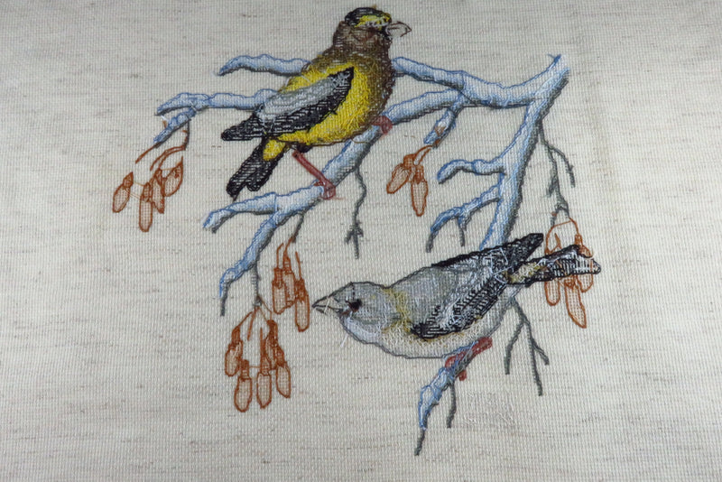 Medium Completed Bird Themed Needlepoint Canvas 14" x 14"