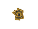 Vintage Lions Club 100% Attendance Pin | France Outline, 1972-73 | George Friedrichs — Gold, Enamel — front view