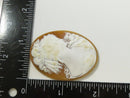 Carved Cameo Loose Shell High Relief Italian Style Natural Helmet Carnelian Right-Facing Profile Vintage Hand-Carved