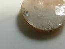 Carved Cameo Loose Shell High Relief Italian Style Natural Helmet Carnelian Right-Facing Profile Vintage Hand-Carved