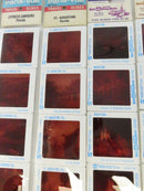 GAF Pana-Vue and Jordan's Colour Lab Slide Sets Collection Set St. Augustine FL Slides Cypress Gardens Magic Kingdom