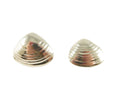 Sterling Silver Shell Earrings, JMP, TM-71, Mex 925, 1.5", 18.8g, Repurpose/Repair — Sterling Silver, Silver — front view