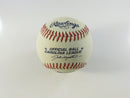 Rawlings Official Carolina League Minor League Baseball Mystery Autographs #25 #48 China Mystery Player Autographs