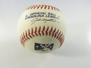 Rawlings Official Carolina League Minor League Baseball Mystery Autographs #25 #48 China Mystery Player Autographs