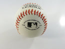 Rawlings OLB3 Official League Synthetic Leather Baseball Multi-Signed Blue Ink Autographs Mystery Player Autographs
