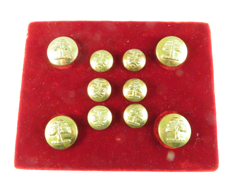Antique Pitt & Co. Livery Buttons - Tree Design - Set of 10 - London Made — front view