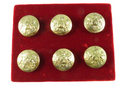 Antique Pitt & Co. Crest Livery Buttons - Scottish Heraldic Design - 6pc Set — front view