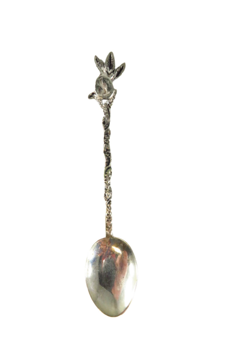 Tribal Headdress Design 833 Silver Brazilian Spoon