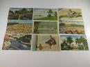 Grouping of c1940's Unused Travel Postcards Wilmington NC, Miami FL, Etc product image for Just Stuff I Sell, clear front view, neutral background, original listing photo, optimized descriptive alt text, centered composition