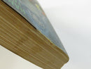 Close view of the age-toned page edges and worn softcover corner.