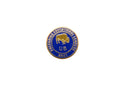 University of Buffalo UB Briet Program Preparing Educational Leaders Lapel Pin — Gold, Enamel — front view