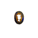 KOPS Graduate SRD pinback lapel pin, TOPS Club, blue & gold oval, © TOPS — Gold — front view