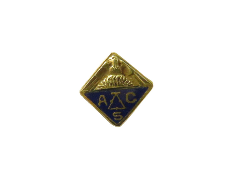 American Chemical Society ACS Lapel Pin 1/20 10K Gold Filled Blue Enamel